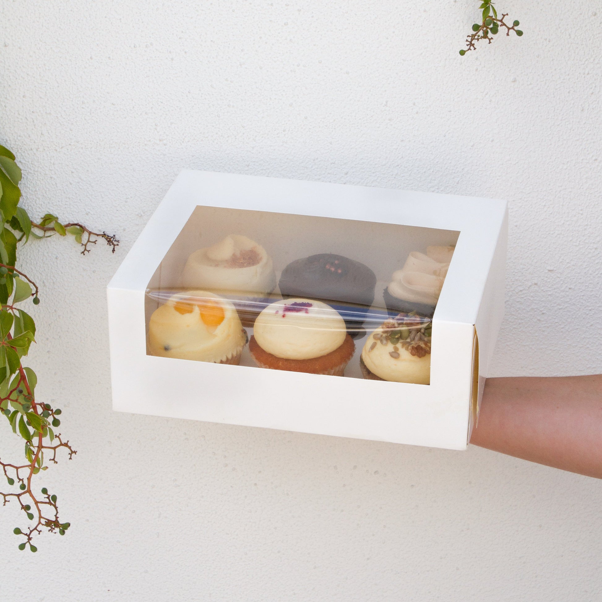 Assorted Cupcake Box | 6 pack