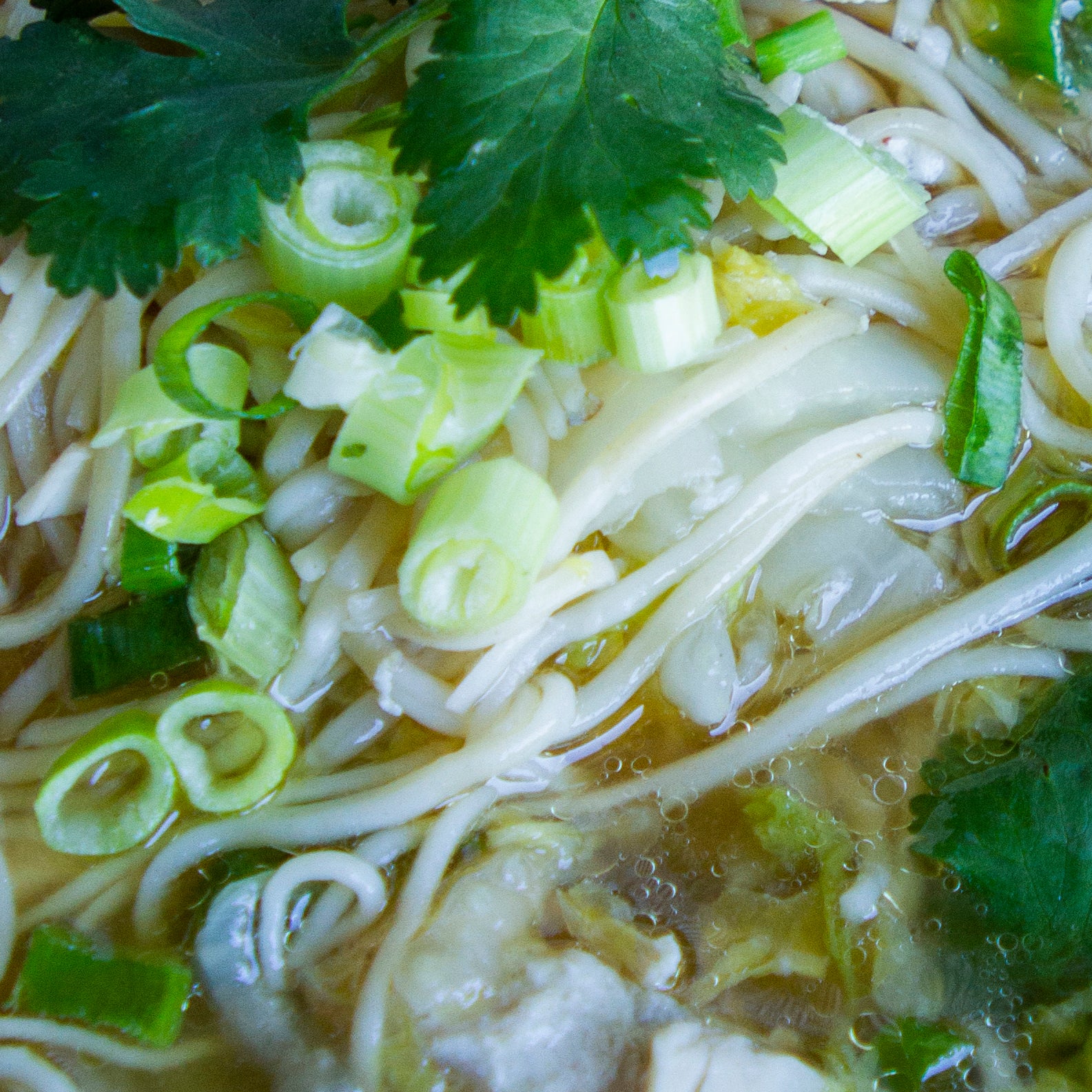 Chinese Chicken Noodle Soup Jocelyn's Provisions