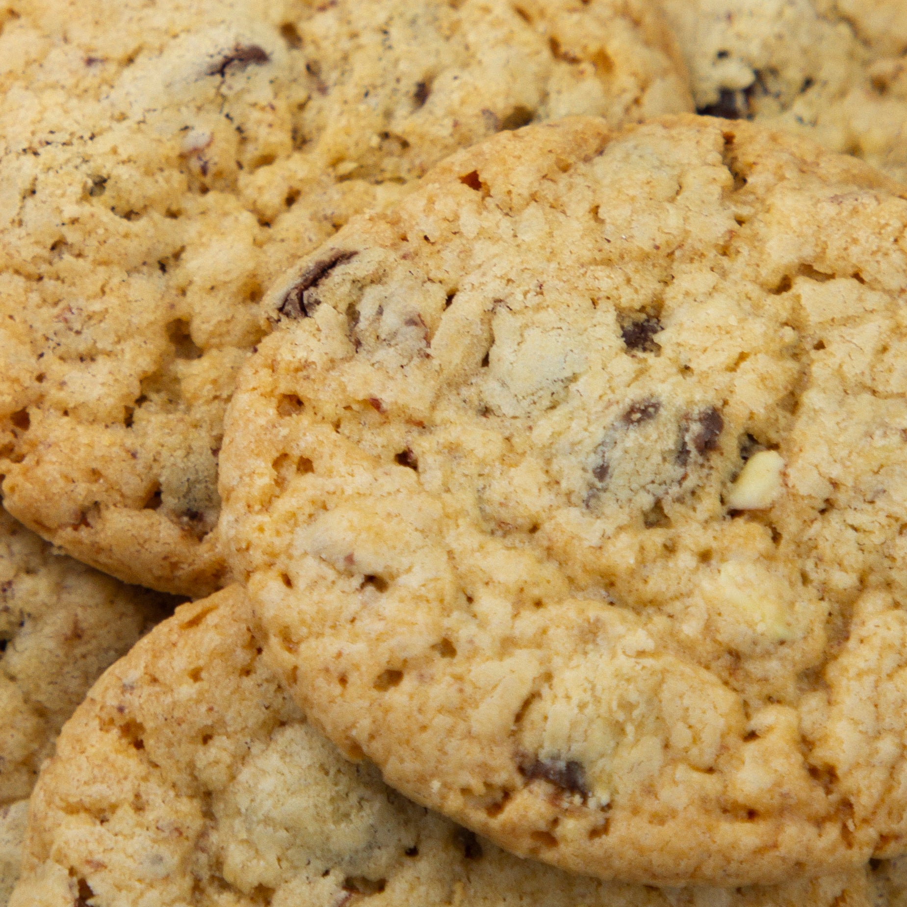 Choc Chip and Nut Cookies