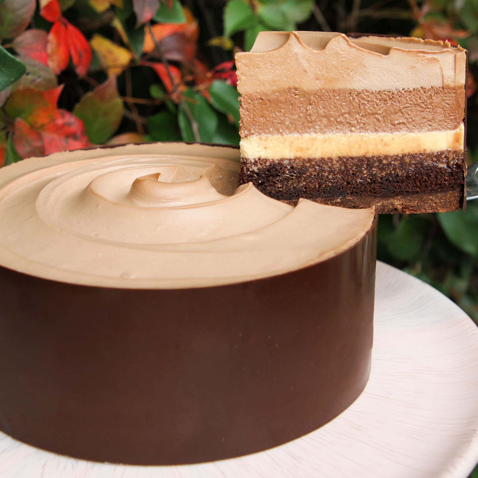 Belgian Chocolate Mousse Cake
