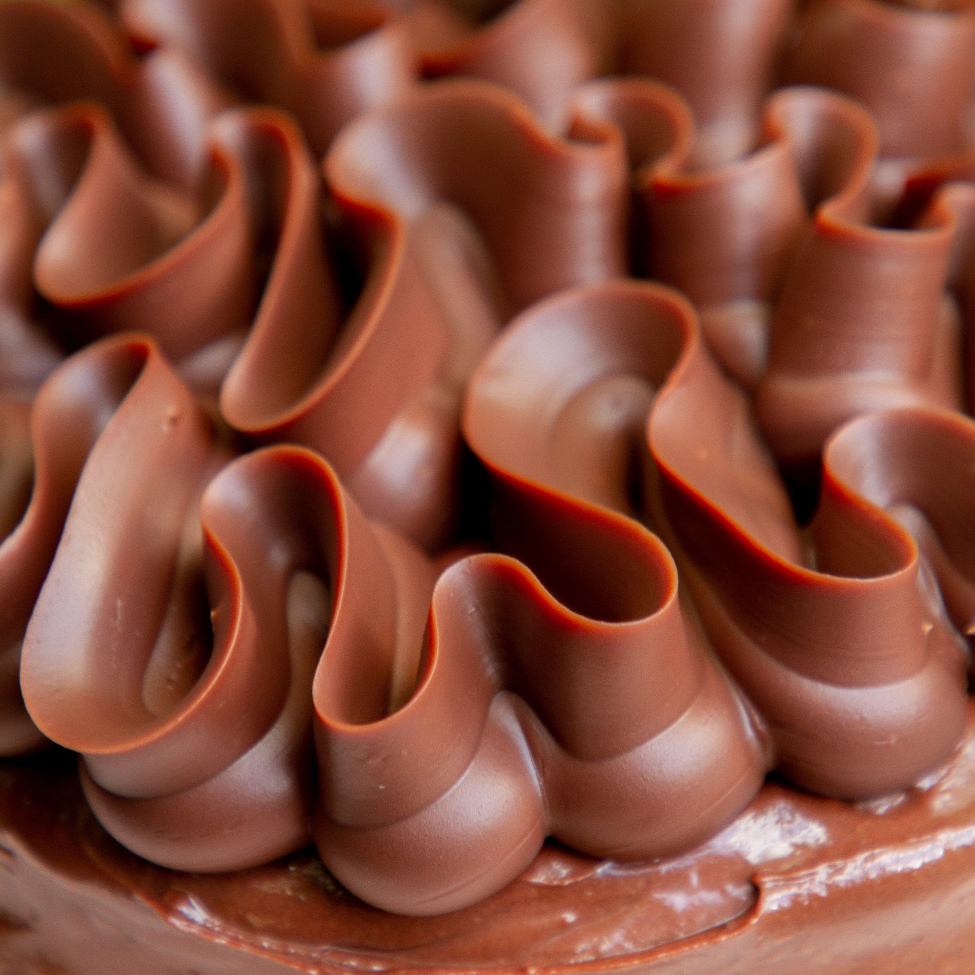 Chocolate Cream Cheese Layer Cake