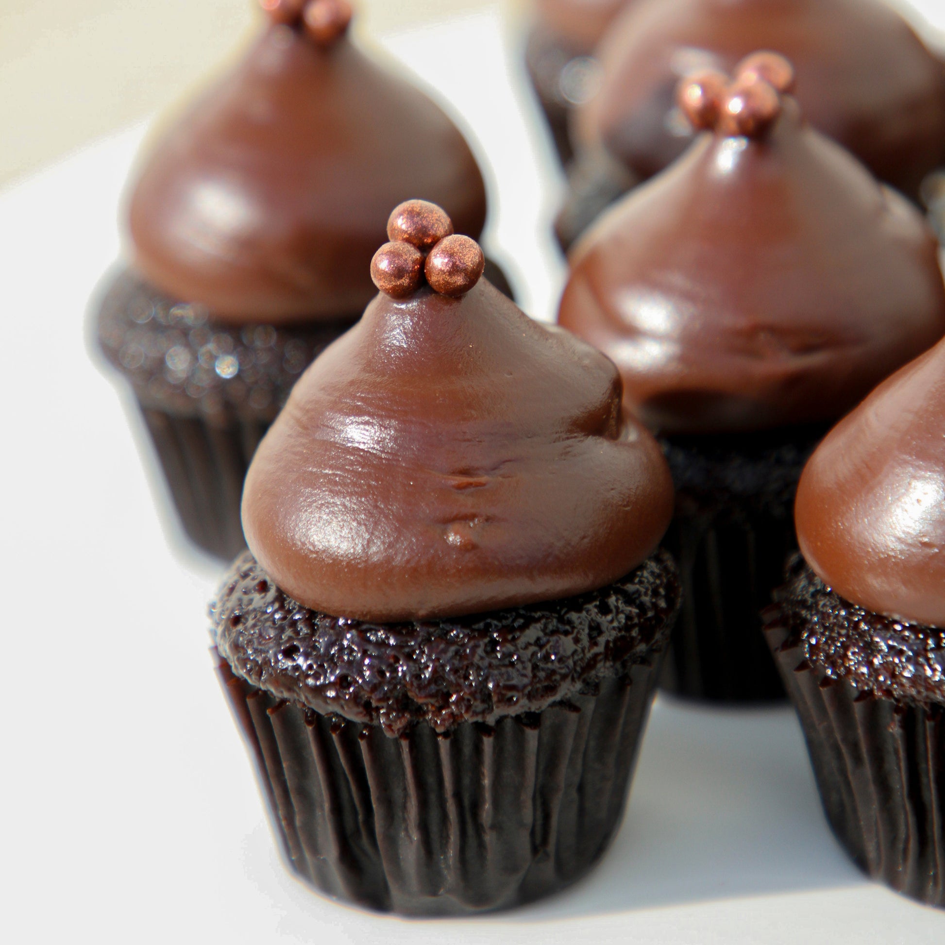 Mini Chocolate Cupcake