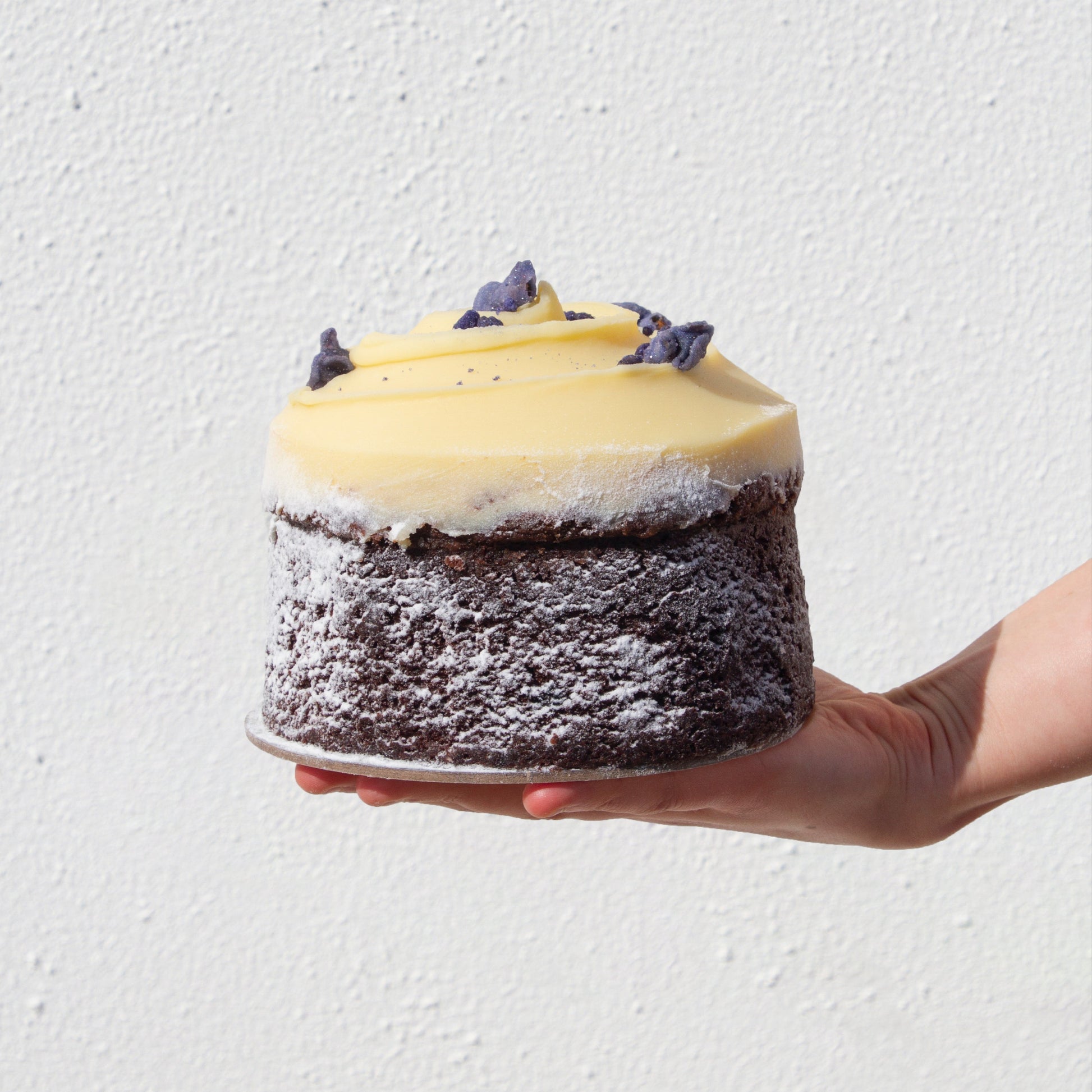 Chocolate Sour Cream Cake