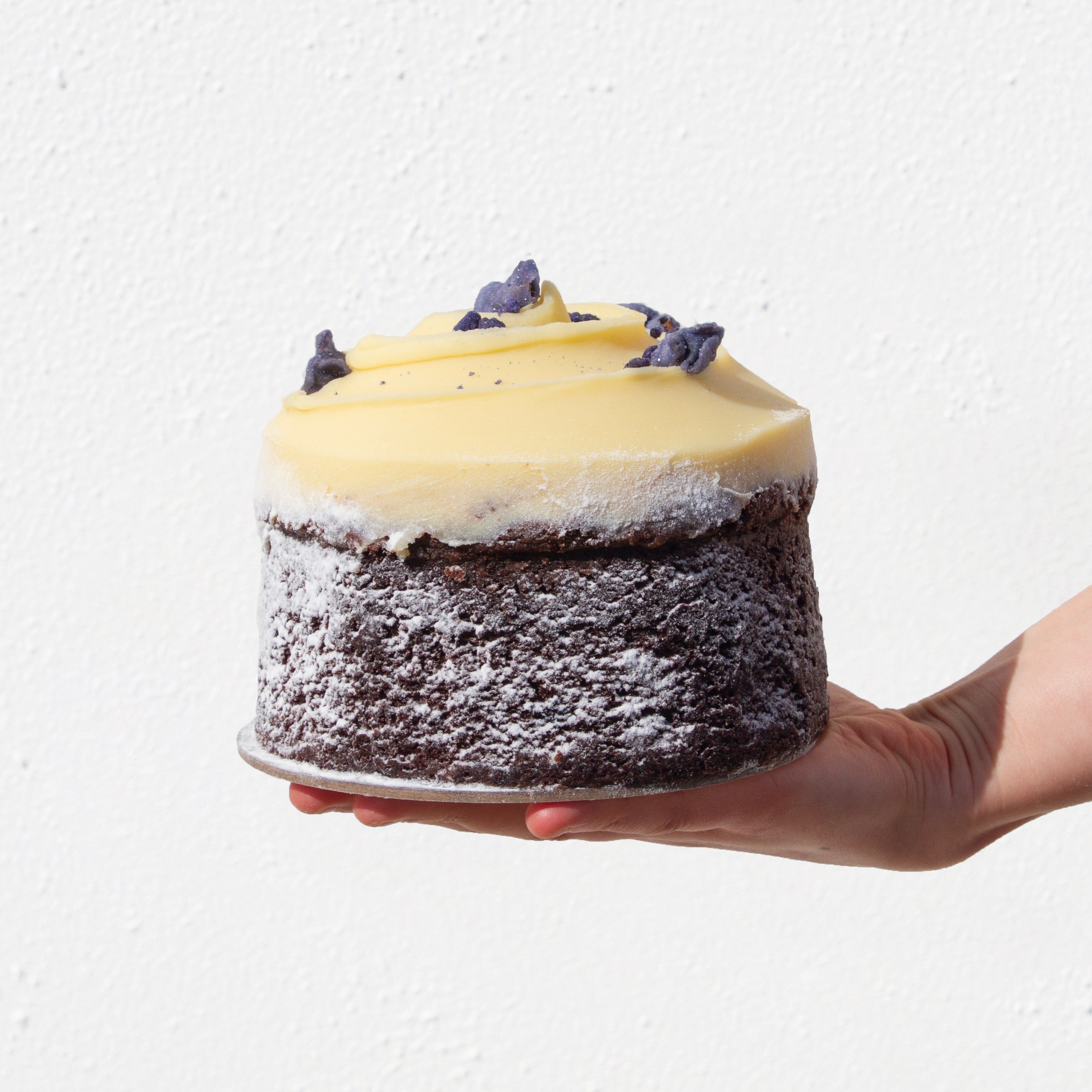 Chocolate Sour Cream Cake