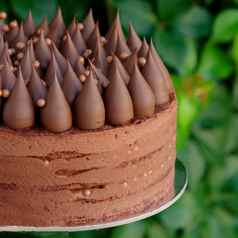 Chocolate Hazelnut Layer Cake