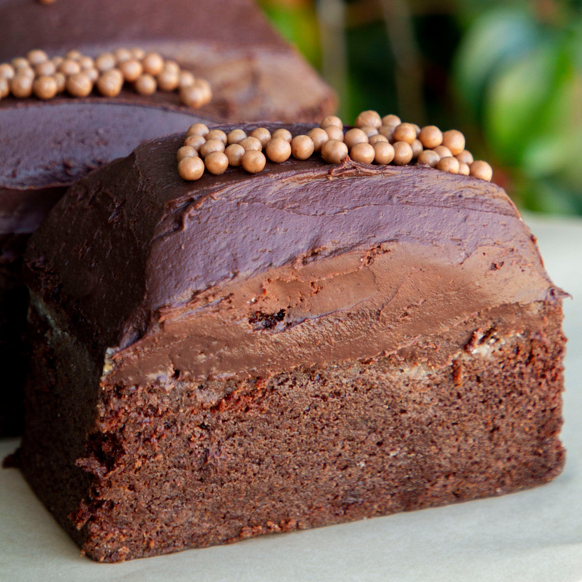Chocolate Cream Cheese  Mini Bar Cake