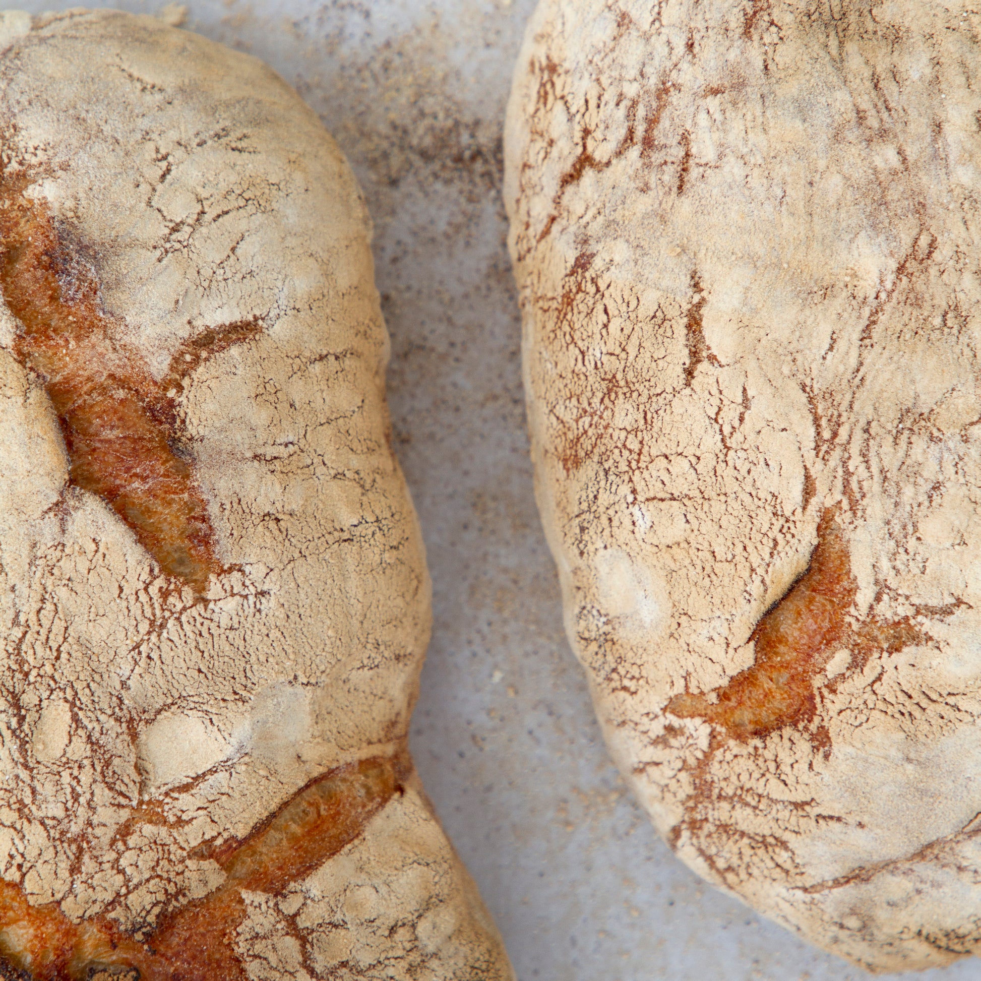 Ciabatta