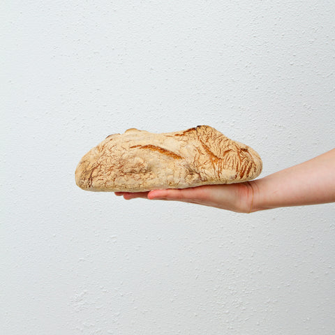 Ciabatta