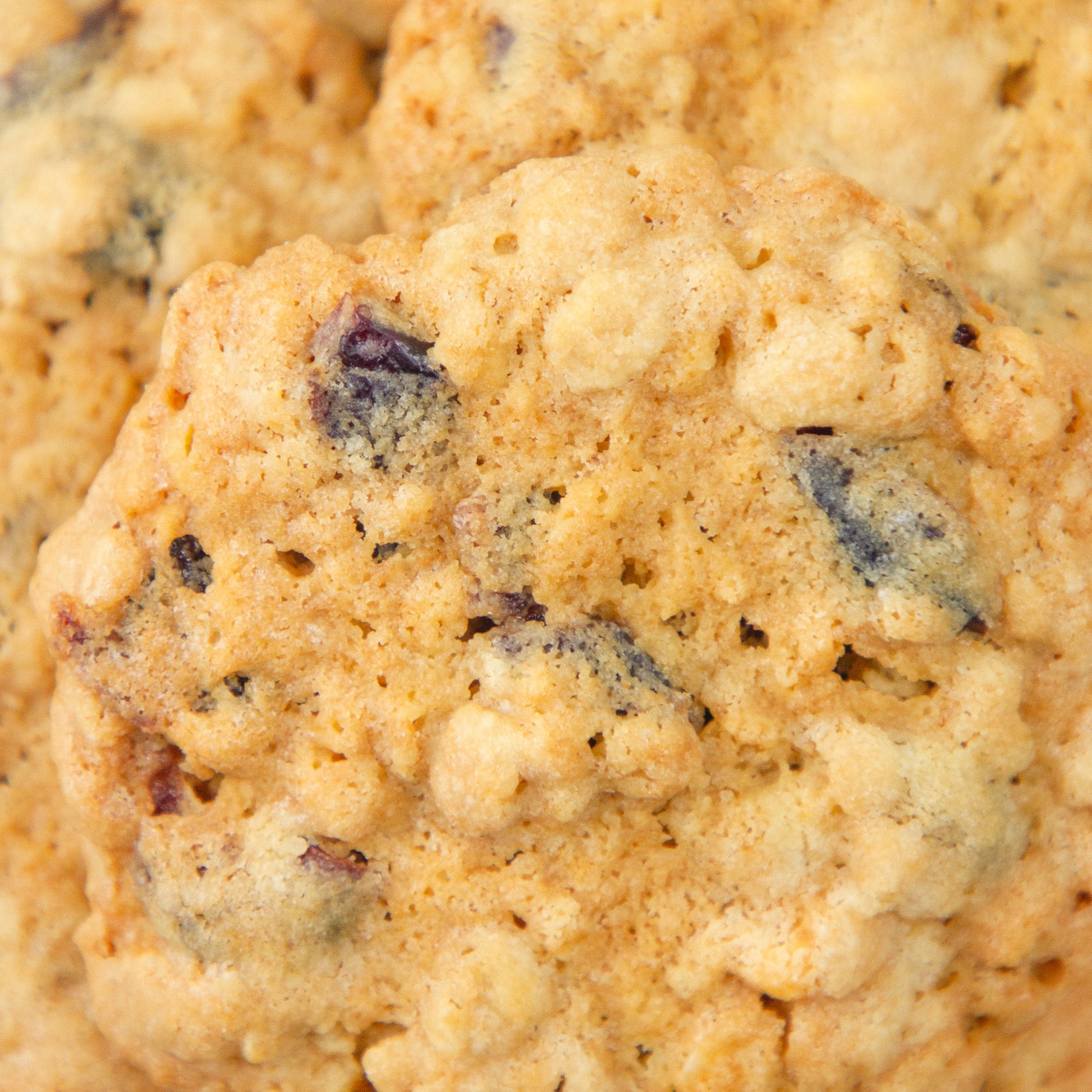Cranberry and White Chocolate Cookies