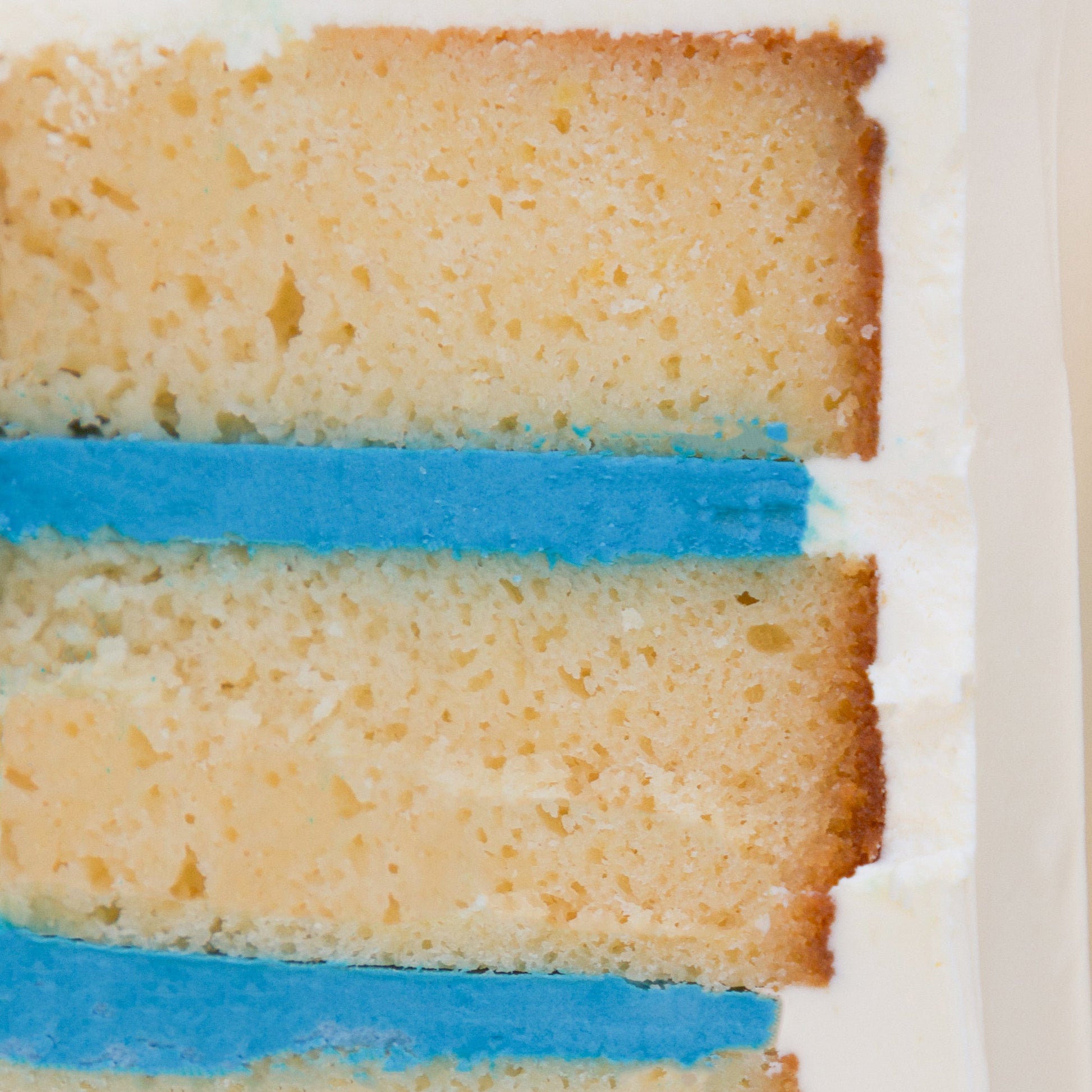 Gender Reveal Cake | Boy