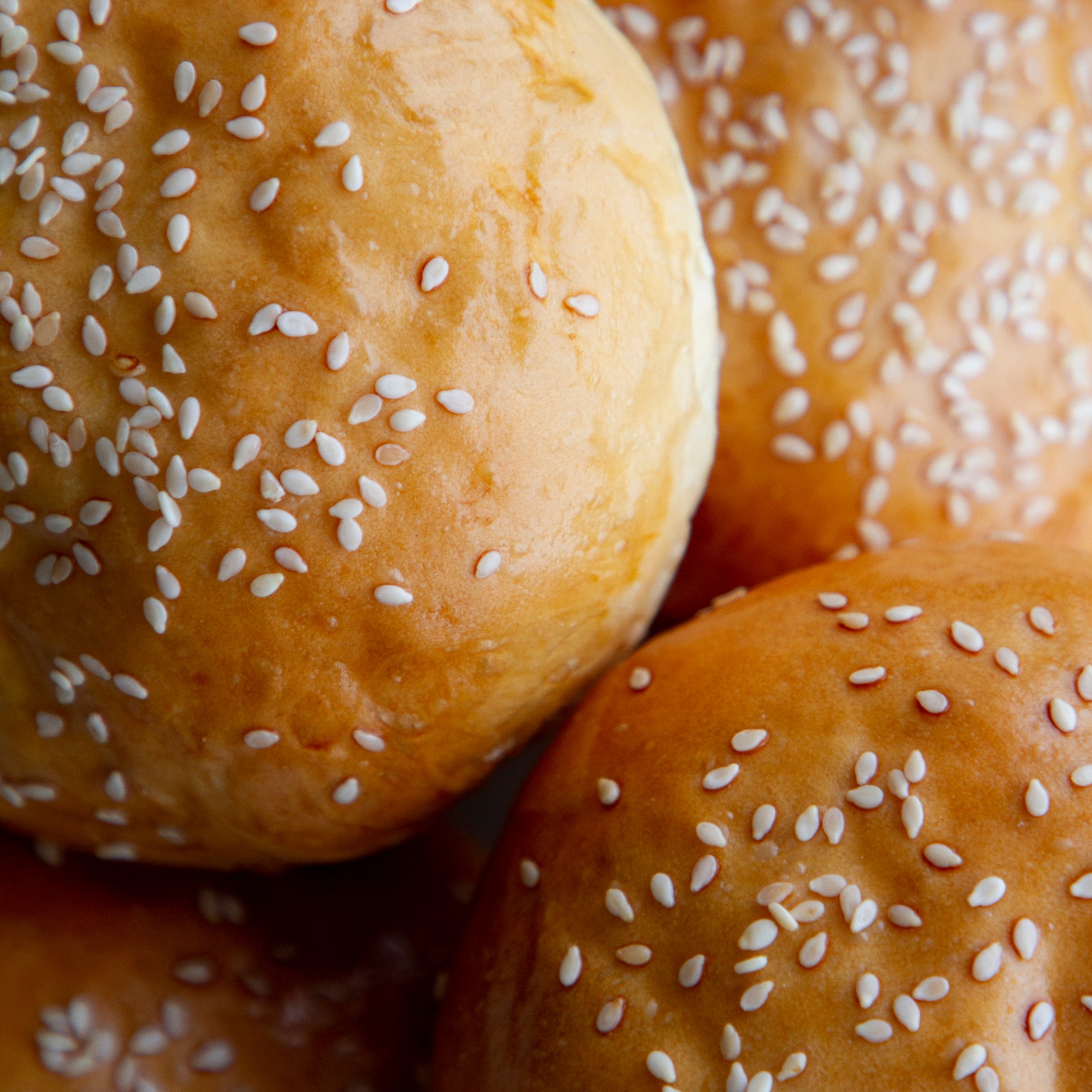 Milk Buns