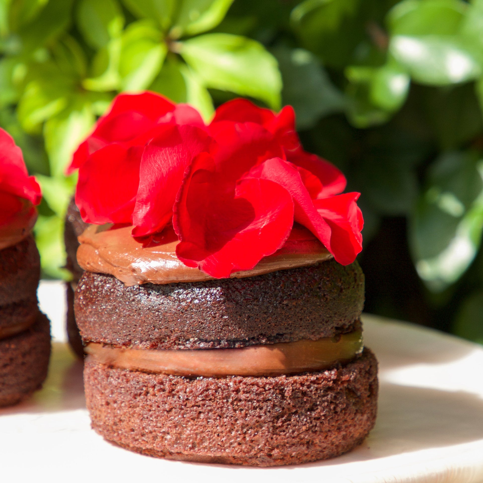 Chocolate Cream Cheese Valentine's Layer Cake