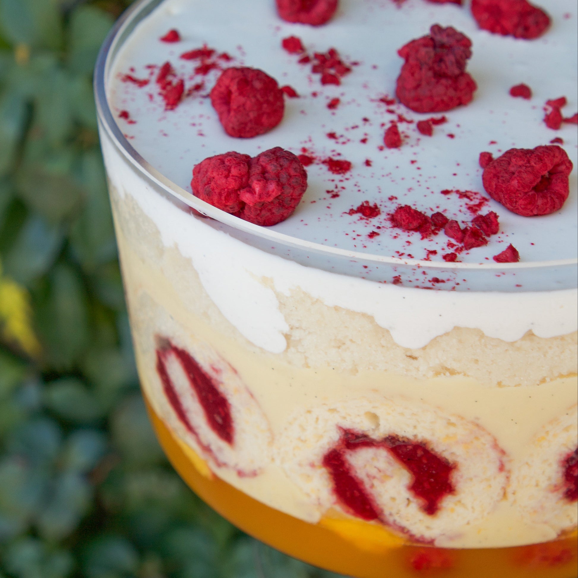 Passionfruit & Raspberry Trifle
