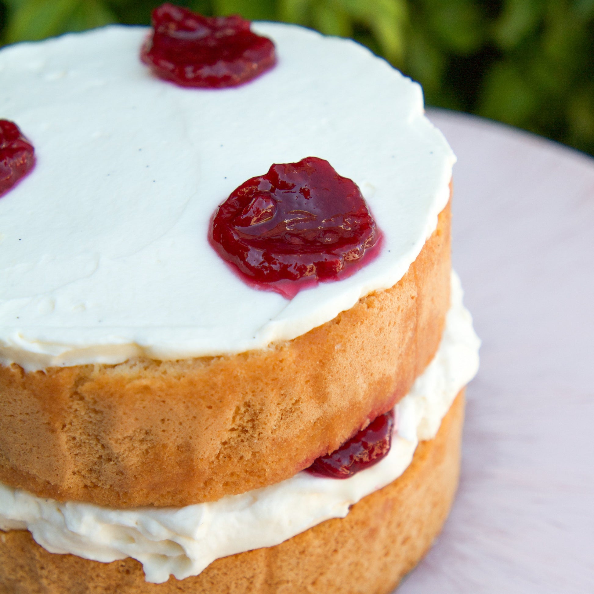 Raspberry & Cream Sponge Cake