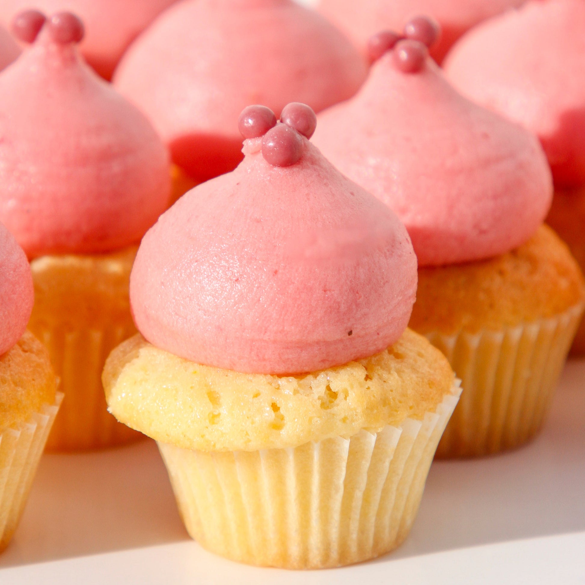 Mini Raspberry Cupcake