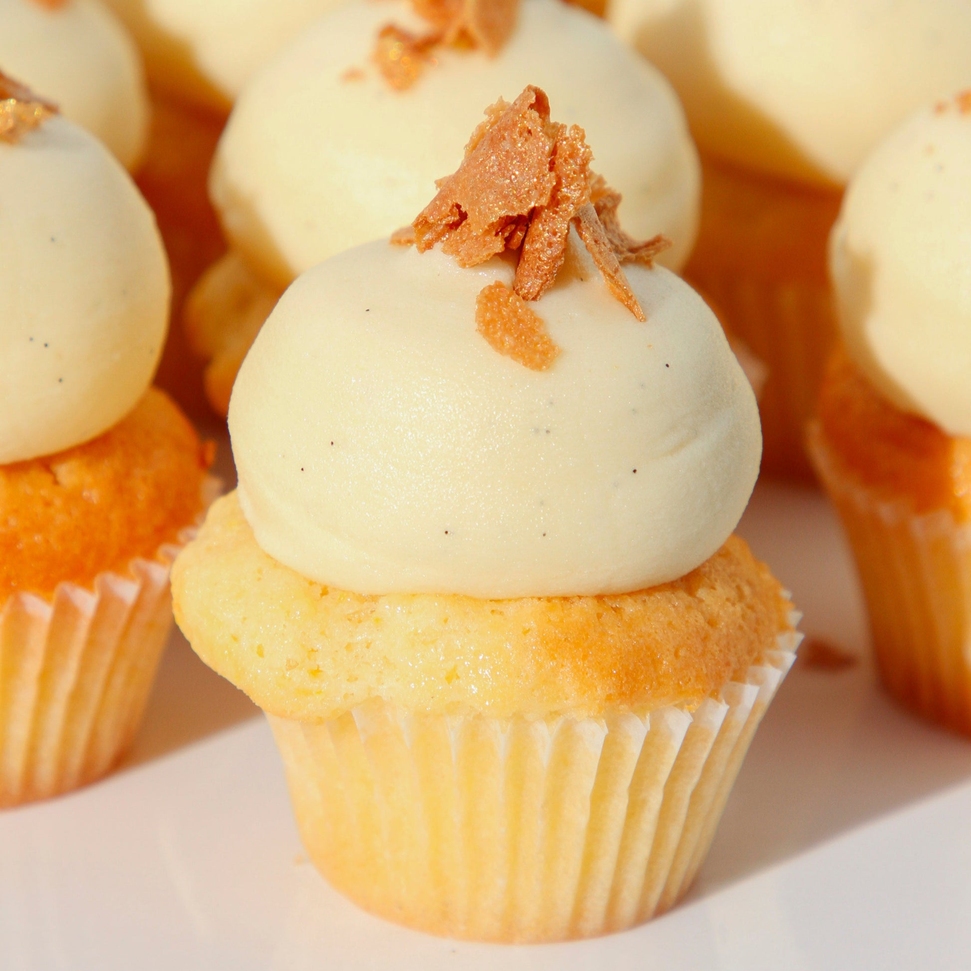 Mini Vanilla Cupcake