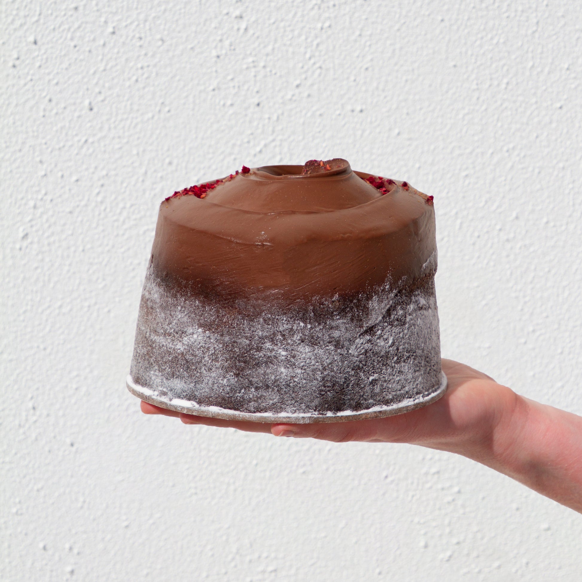 Vegan Dark Chocolate & Raspberry Cake