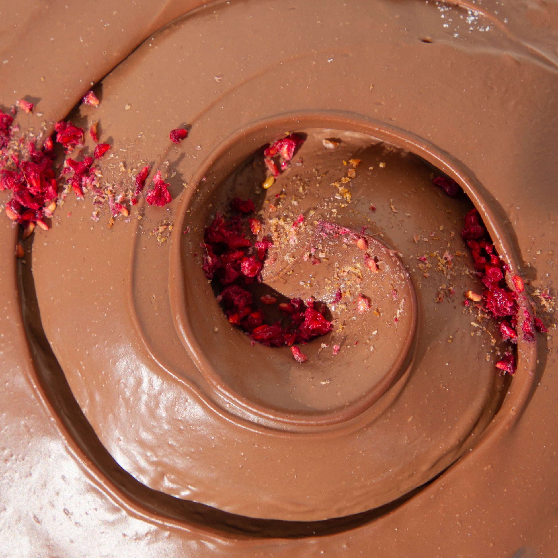 Vegan Dark Chocolate & Raspberry Cake