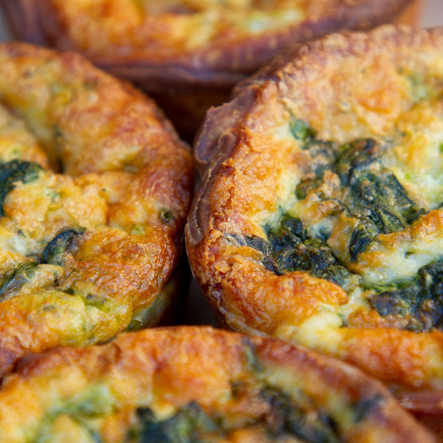 Spinach Savoury Cup